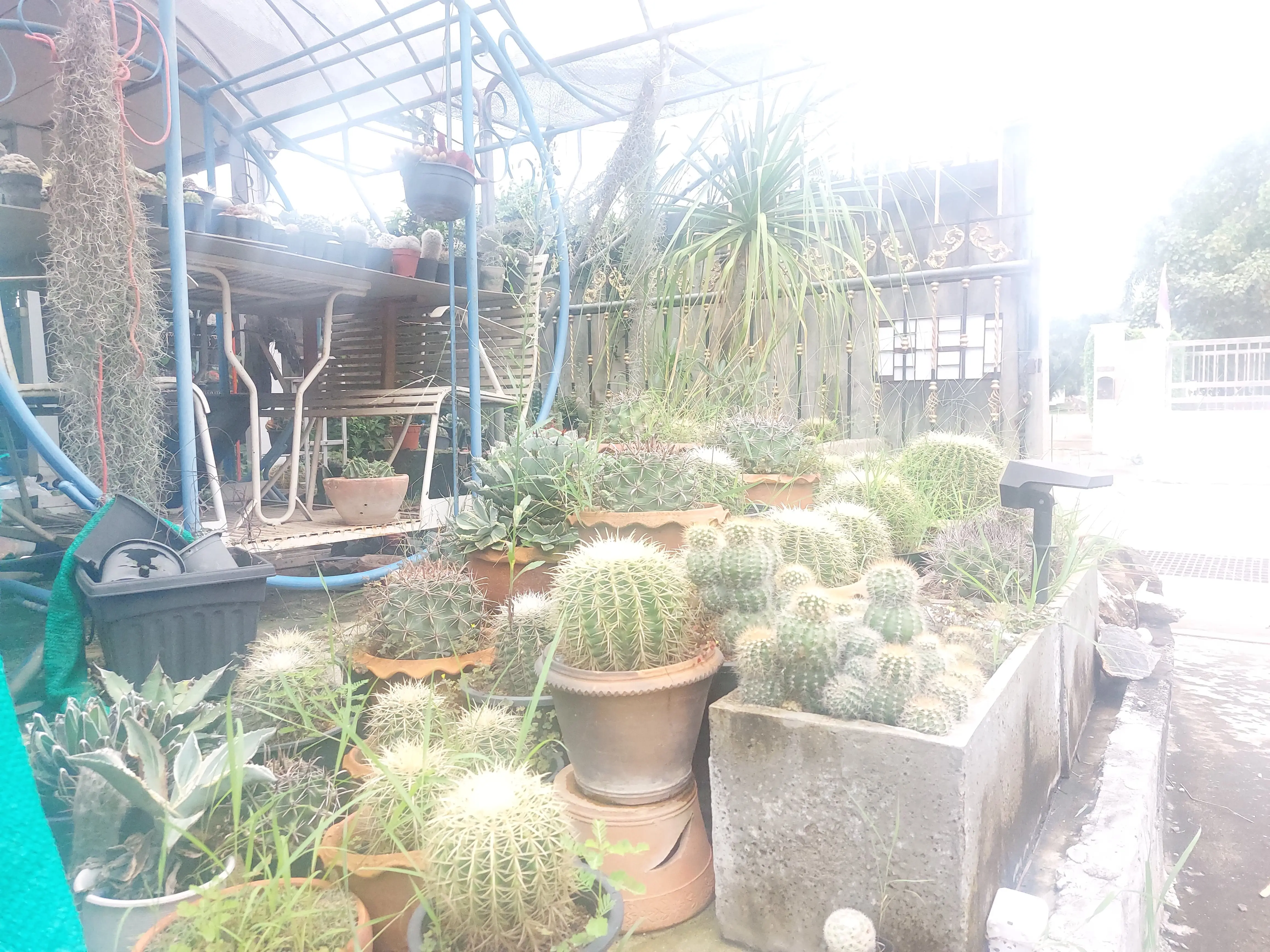 สวนหย่อม บริเวณหอพัก